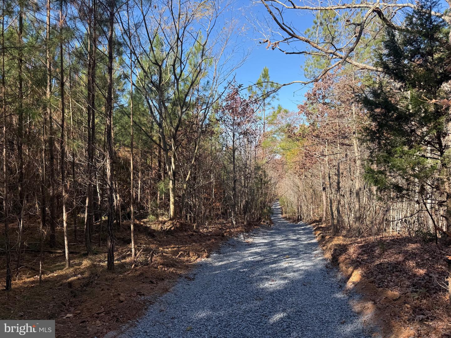 1 HARDWARE RD, SCOTTSVILLE, Virginia 24562, ,Land,For sale,1 HARDWARE RD,VABH2000242 MLS # VABH2000242