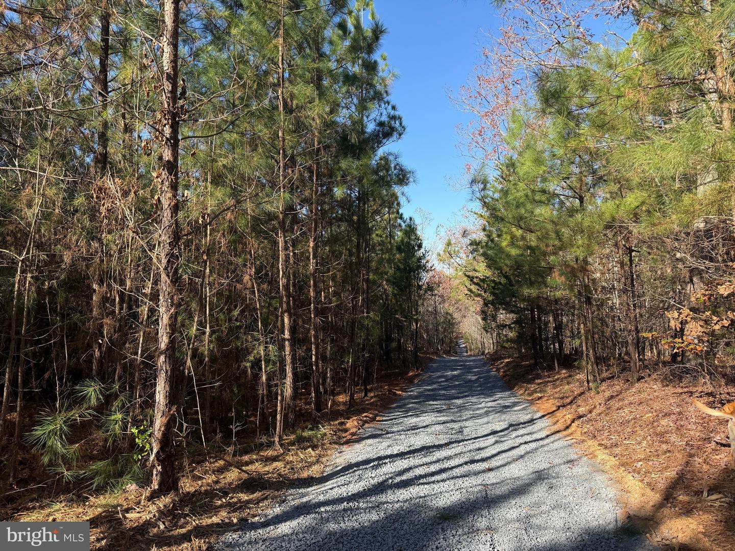 1 HARDWARE RD, SCOTTSVILLE, Virginia 24562, ,Land,For sale,1 HARDWARE RD,VABH2000242 MLS # VABH2000242