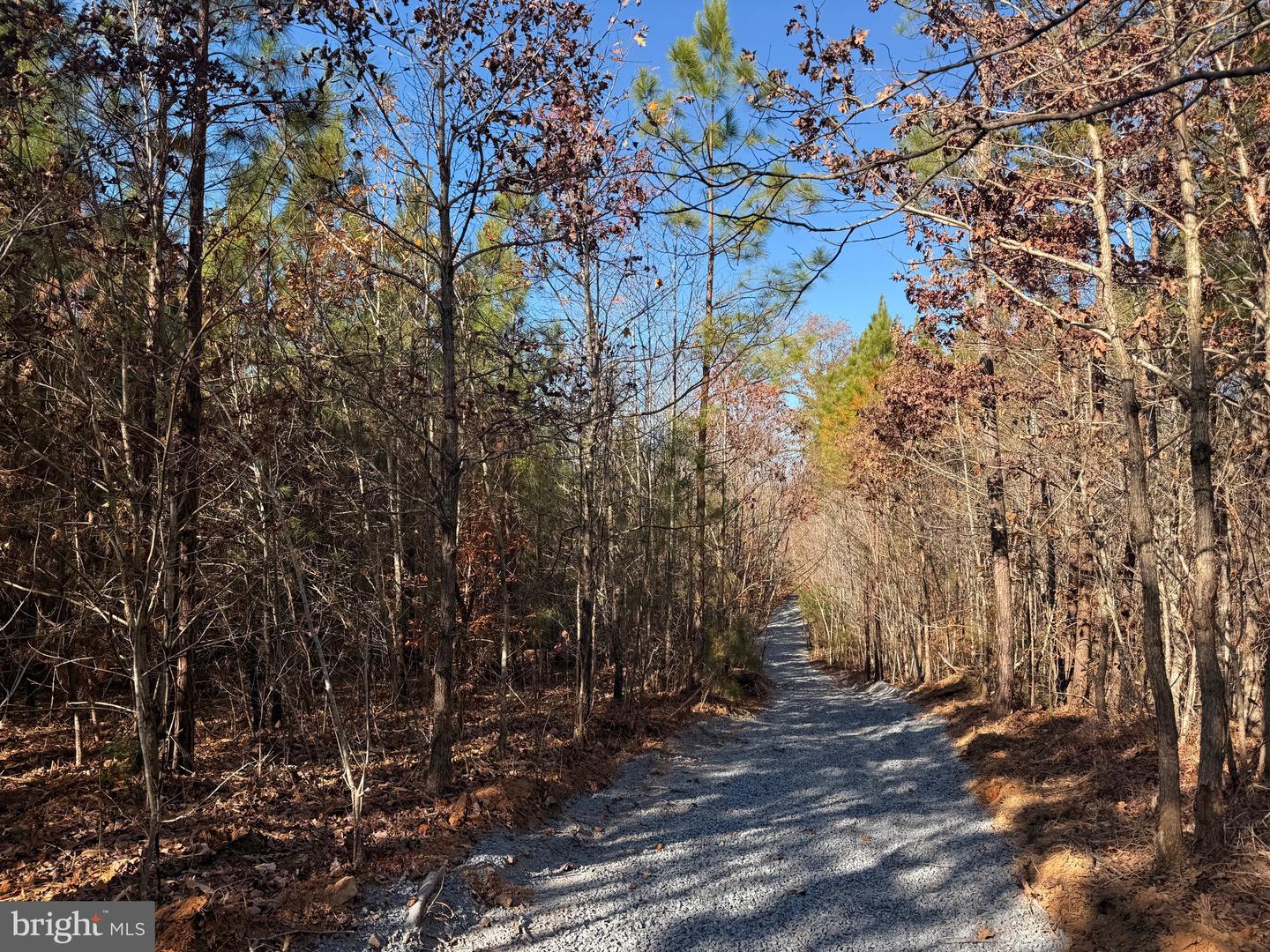 1 HARDWARE RD, SCOTTSVILLE, Virginia 24562, ,Land,For sale,1 HARDWARE RD,VABH2000242 MLS # VABH2000242