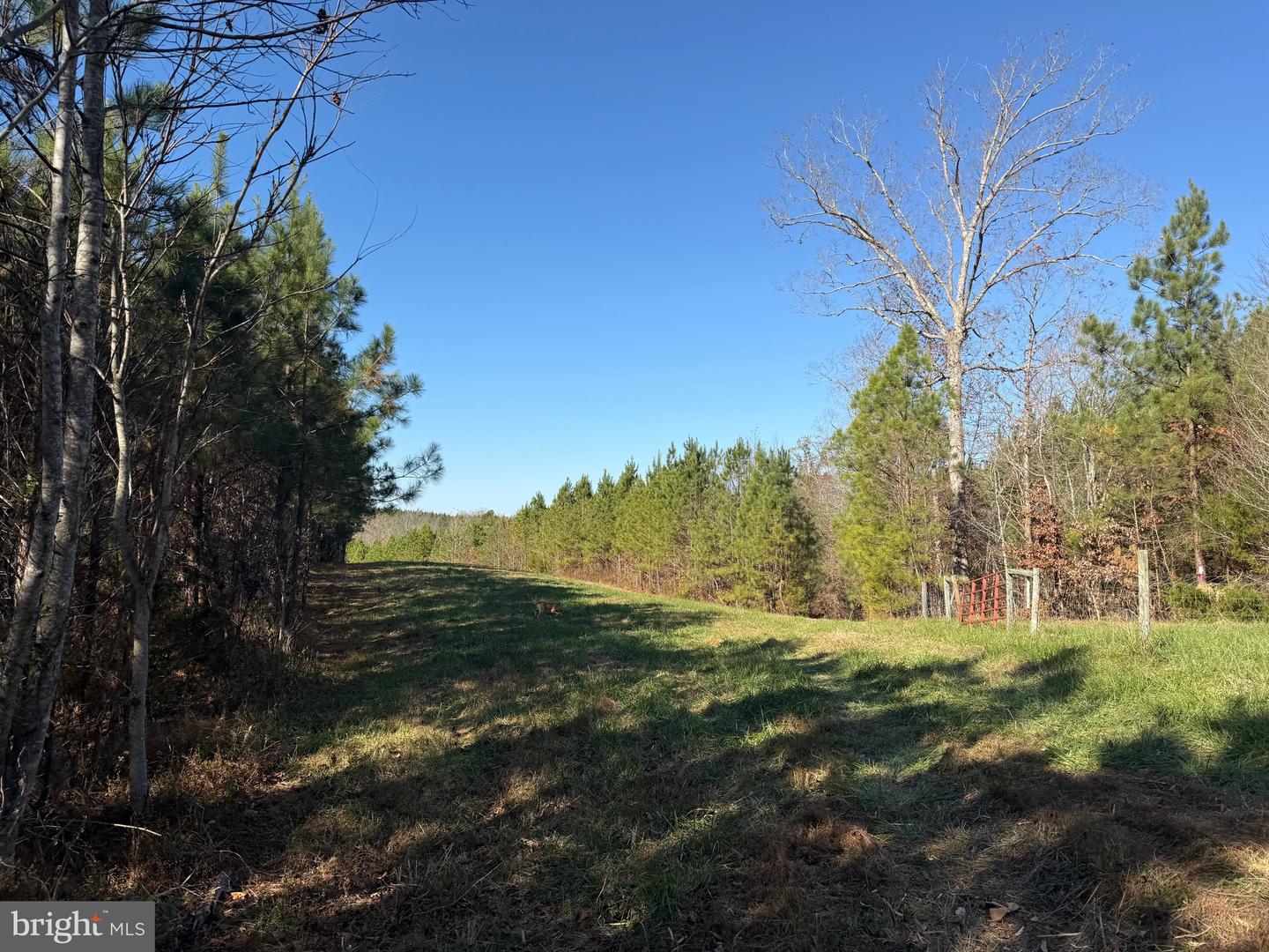 1 HARDWARE RD, SCOTTSVILLE, Virginia 24562, ,Land,For sale,1 HARDWARE RD,VABH2000242 MLS # VABH2000242