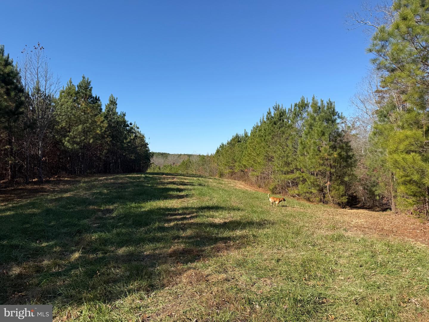 1 HARDWARE RD, SCOTTSVILLE, Virginia 24562, ,Land,For sale,1 HARDWARE RD,VABH2000242 MLS # VABH2000242