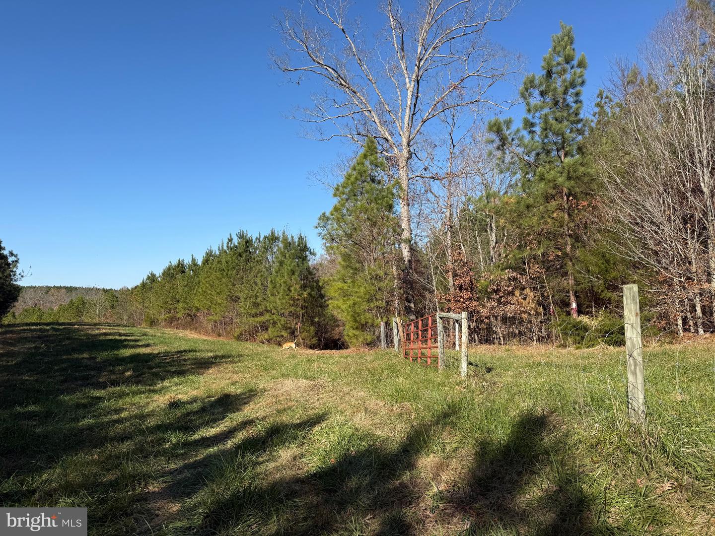 1 HARDWARE RD, SCOTTSVILLE, Virginia 24562, ,Land,For sale,1 HARDWARE RD,VABH2000242 MLS # VABH2000242