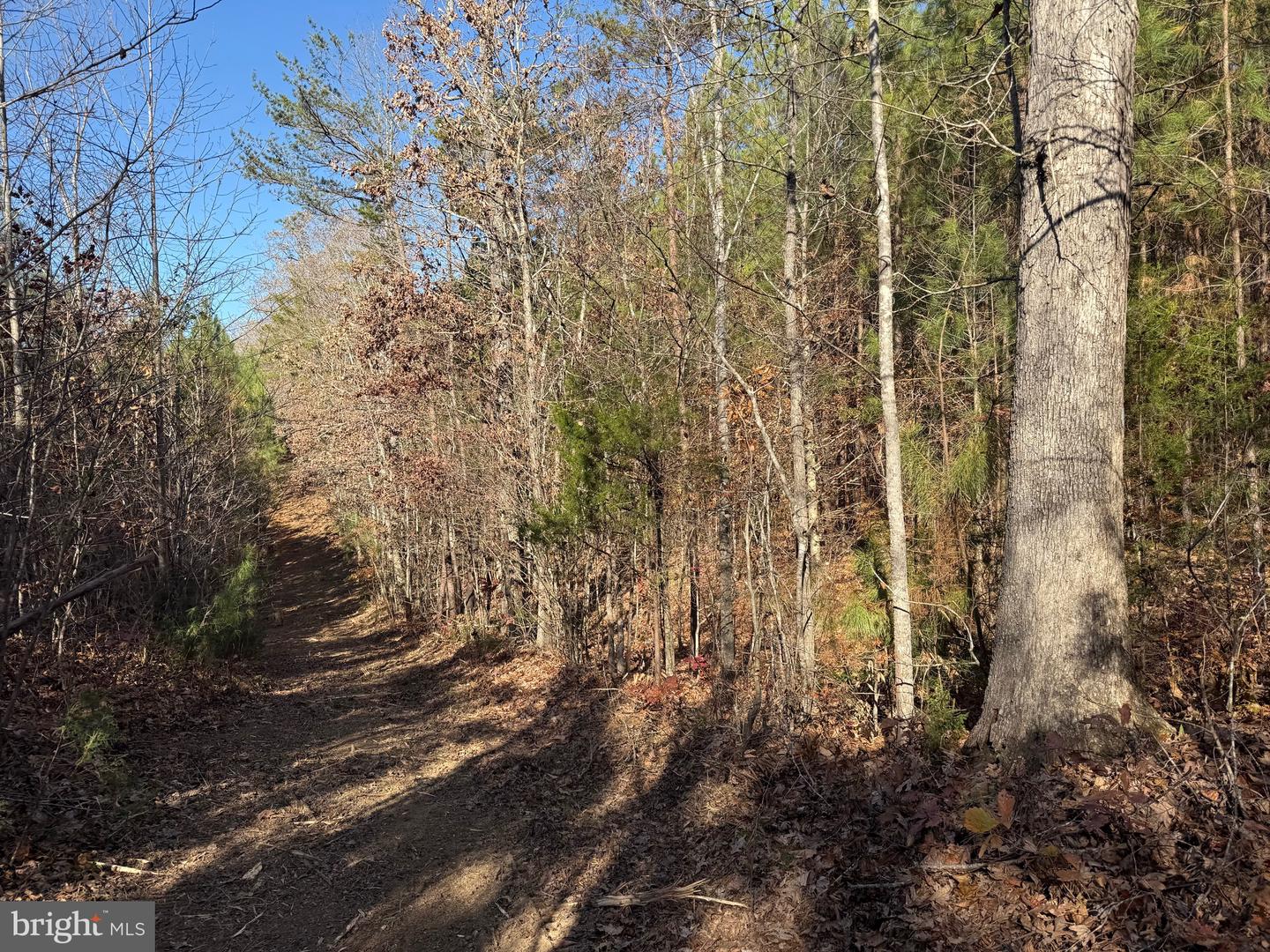 1 HARDWARE RD, SCOTTSVILLE, Virginia 24562, ,Land,For sale,1 HARDWARE RD,VABH2000242 MLS # VABH2000242