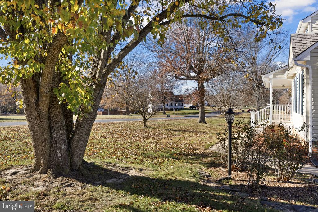 7909 WESTBURY MANOR DR, FREDERICKSBURG, Virginia 22407, 4 Bedrooms Bedrooms, ,3 BathroomsBathrooms,Residential,7909 WESTBURY MANOR DR,VASP2037658 MLS # VASP2037658