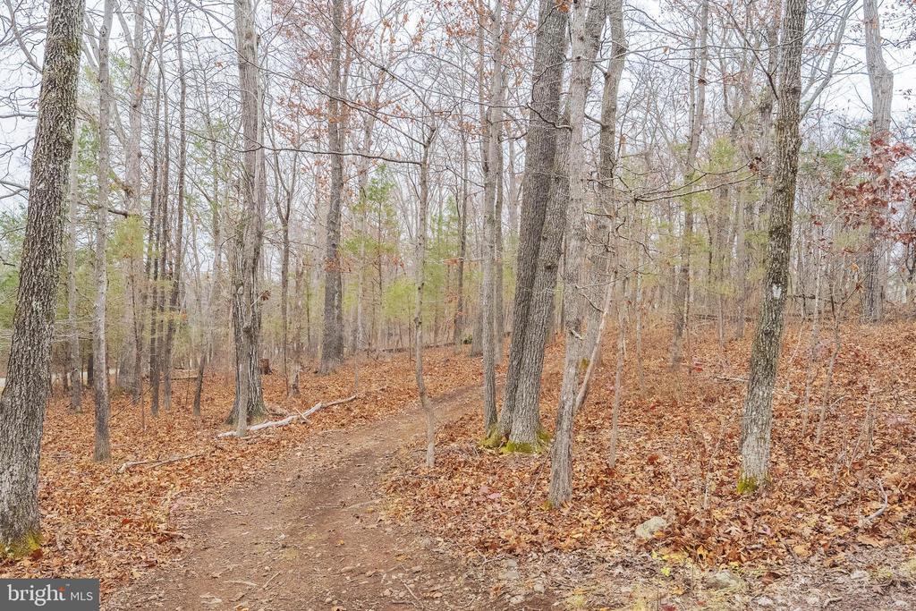 6245 SQUIRREL NEST LN, WARRENTON, Virginia, 4 Bedrooms Bedrooms, ,5 BathroomsBathrooms,Residential,6245 SQUIRREL NEST LN,VAFQ2019692 MLS # VAFQ2019692