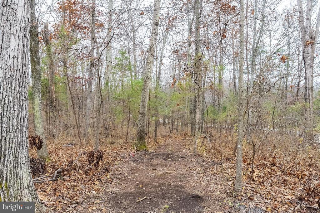 6245 SQUIRREL NEST LN, WARRENTON, Virginia, 4 Bedrooms Bedrooms, ,5 BathroomsBathrooms,Residential,6245 SQUIRREL NEST LN,VAFQ2019692 MLS # VAFQ2019692