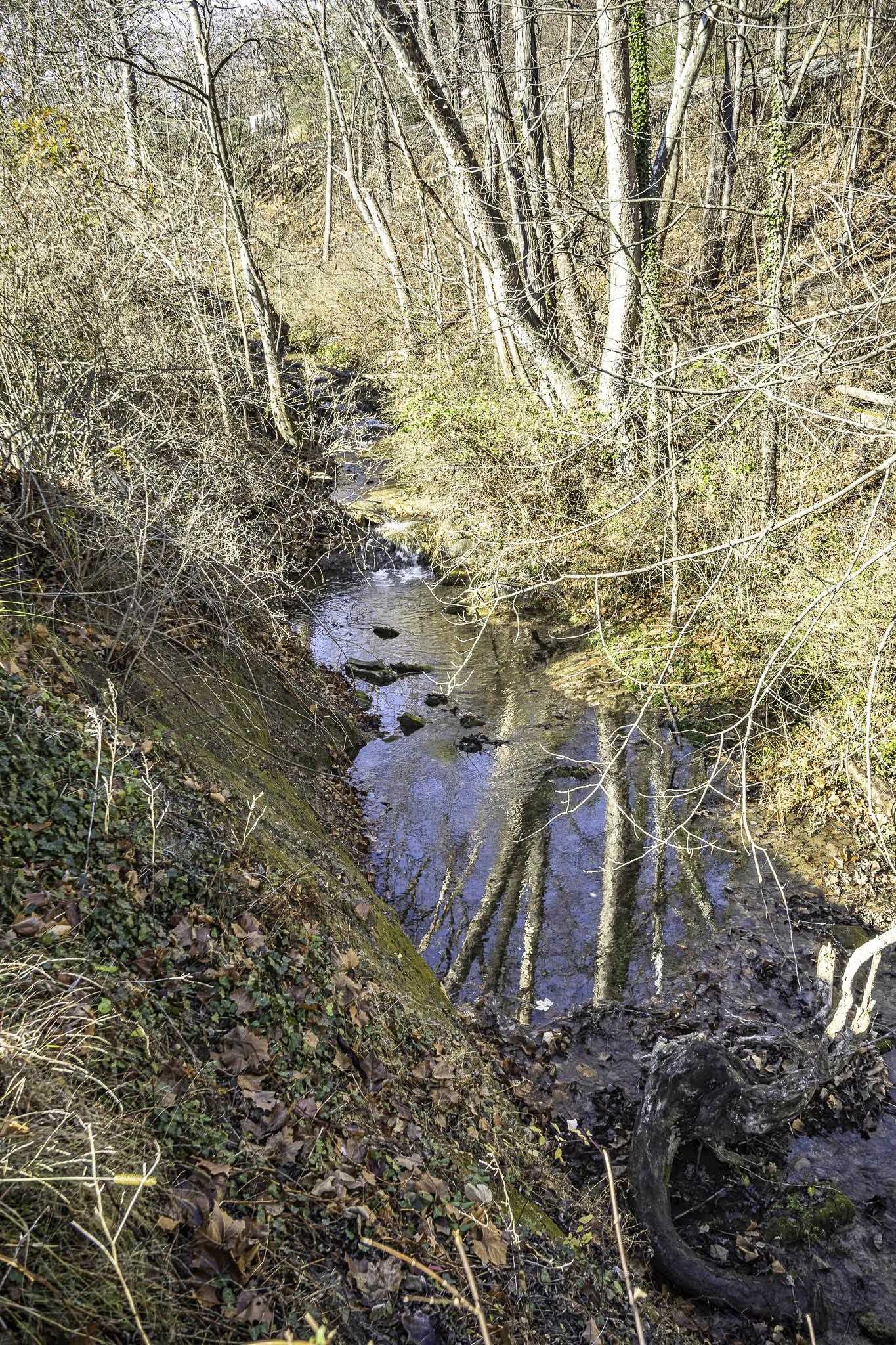 401 TANNEHILL ST, STAUNTON, Virginia 24401, 4 Bedrooms Bedrooms, ,2 BathroomsBathrooms,Residential,401 TANNEHILL ST,671313 MLS # 671313