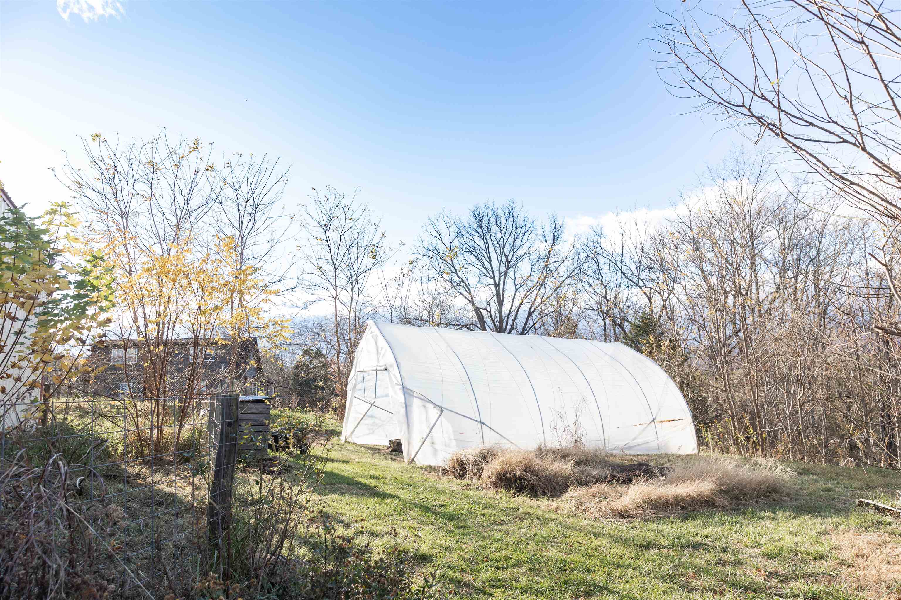 554 HERRING HALL RD, NATURAL BRIDGE, Virginia 24578, 1 Bedroom Bedrooms, ,1 BathroomBathrooms,Residential,554 HERRING HALL RD,671322 MLS # 671322