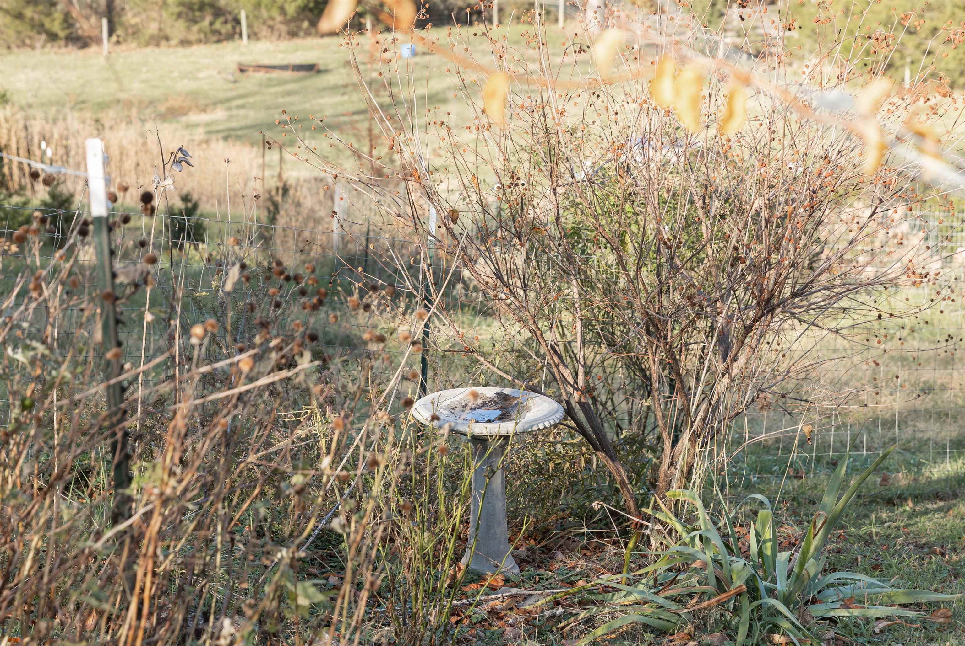 554 HERRING HALL RD, NATURAL BRIDGE, Virginia 24578, 1 Bedroom Bedrooms, ,1 BathroomBathrooms,Residential,554 HERRING HALL RD,671322 MLS # 671322