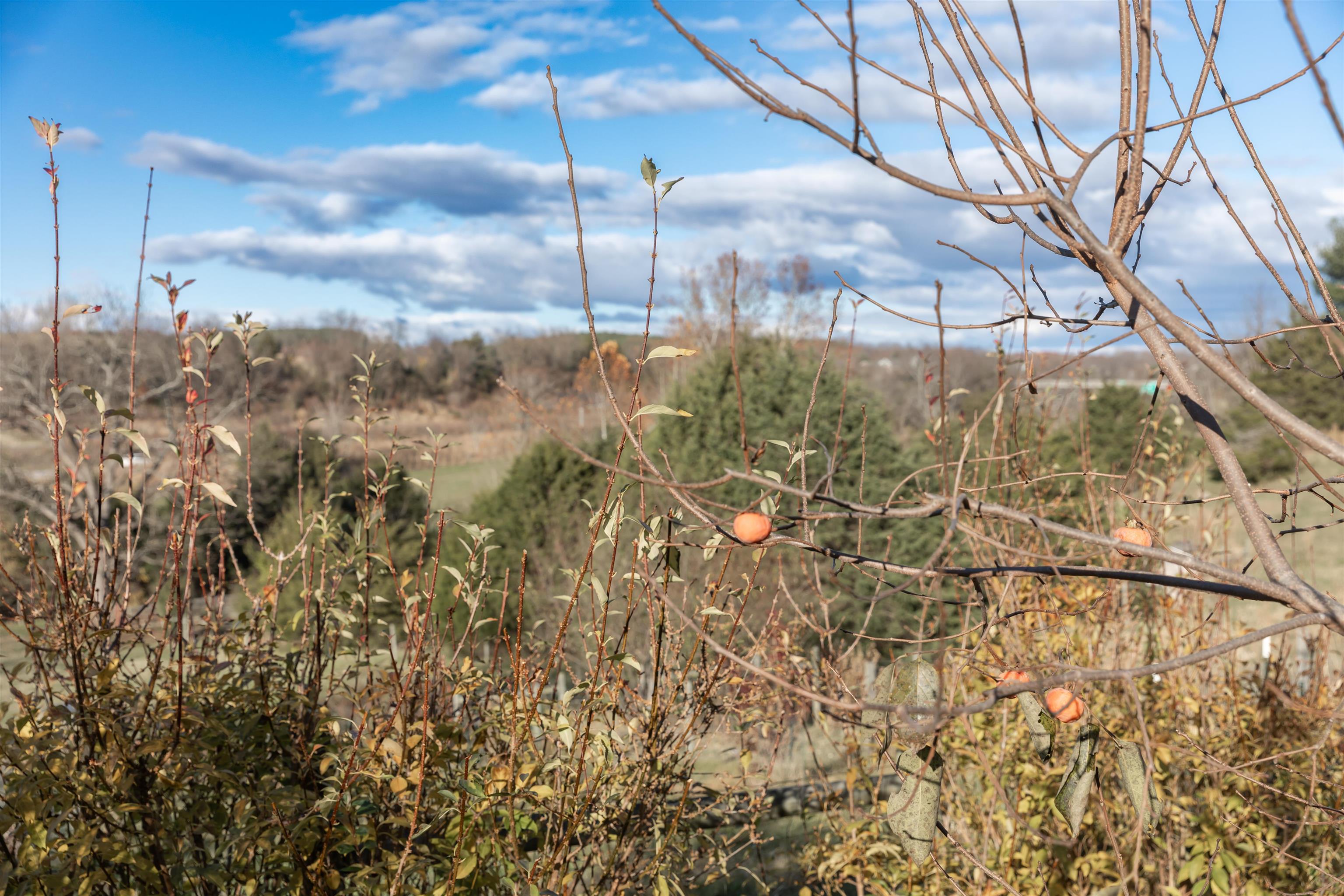 554 HERRING HALL RD, NATURAL BRIDGE, Virginia 24578, 1 Bedroom Bedrooms, ,1 BathroomBathrooms,Residential,554 HERRING HALL RD,671322 MLS # 671322