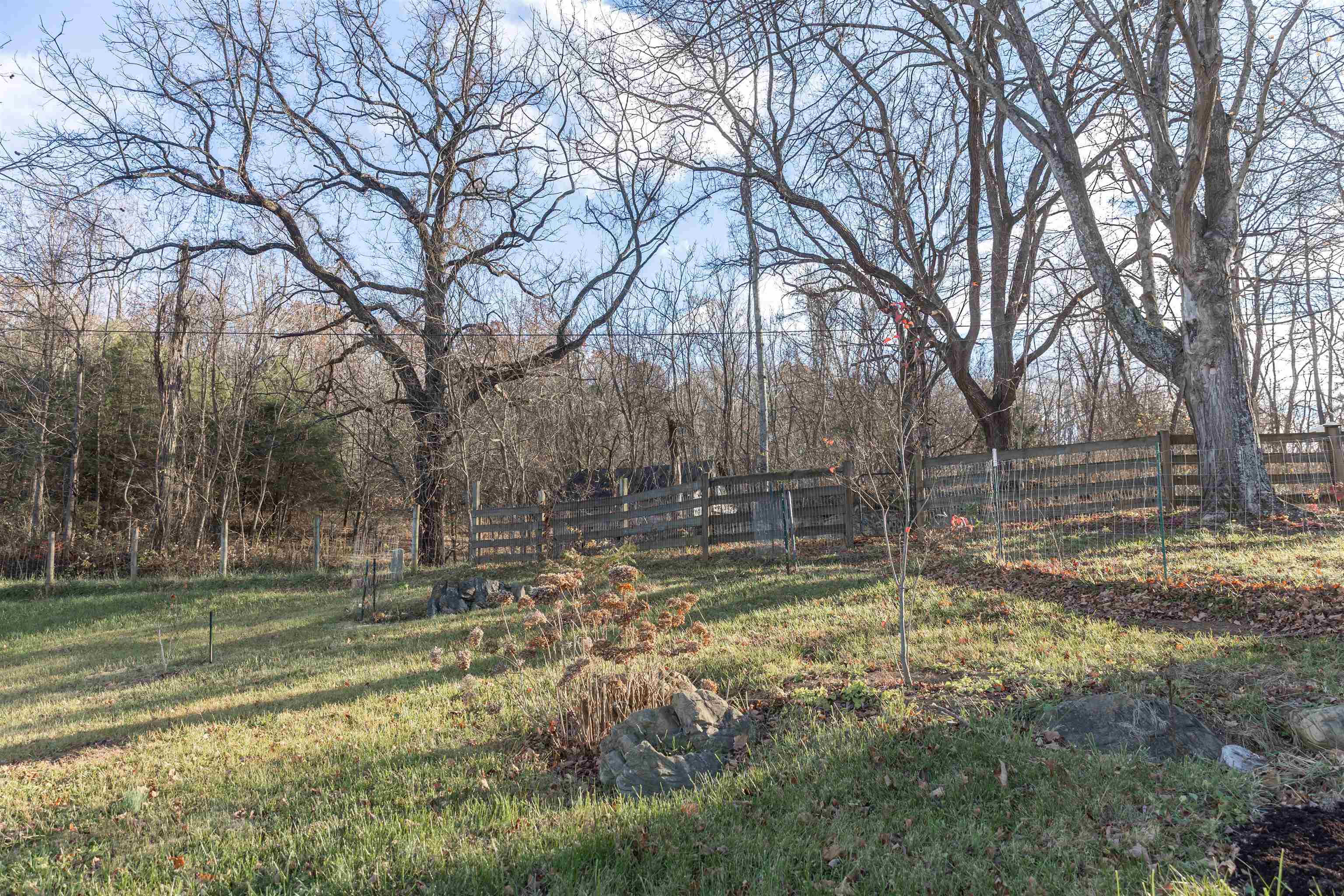 554 HERRING HALL RD, NATURAL BRIDGE, Virginia 24578, 1 Bedroom Bedrooms, ,1 BathroomBathrooms,Residential,554 HERRING HALL RD,671322 MLS # 671322