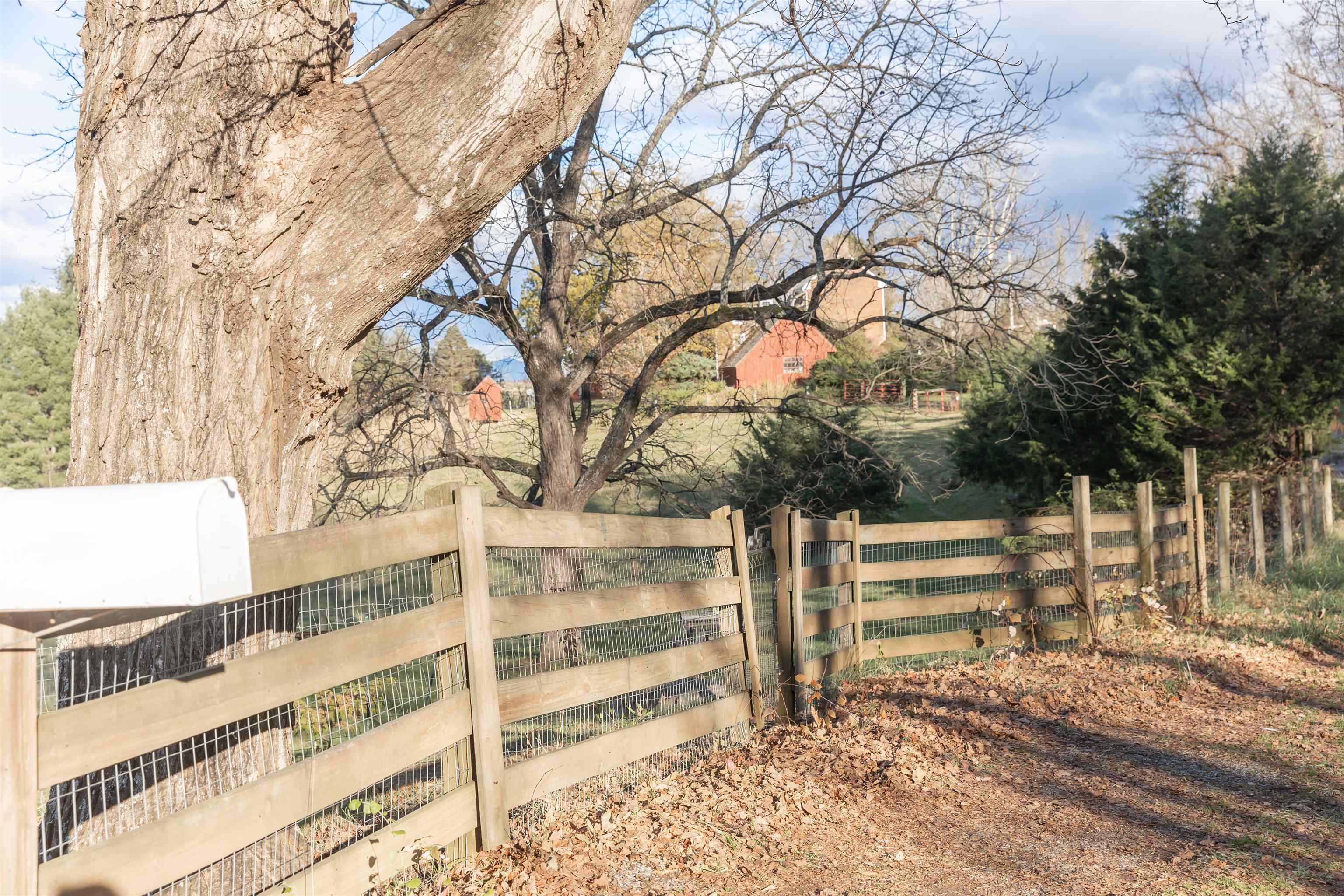 554 HERRING HALL RD, NATURAL BRIDGE, Virginia 24578, 1 Bedroom Bedrooms, ,1 BathroomBathrooms,Residential,554 HERRING HALL RD,671322 MLS # 671322