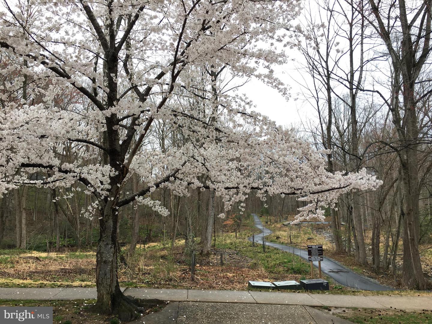 4024 IVA LN, ANNANDALE, Virginia 22003, 4 Bedrooms Bedrooms, ,3 BathroomsBathrooms,Residential,For sale,4024 IVA LN,VAFX2272712 MLS # VAFX2272712