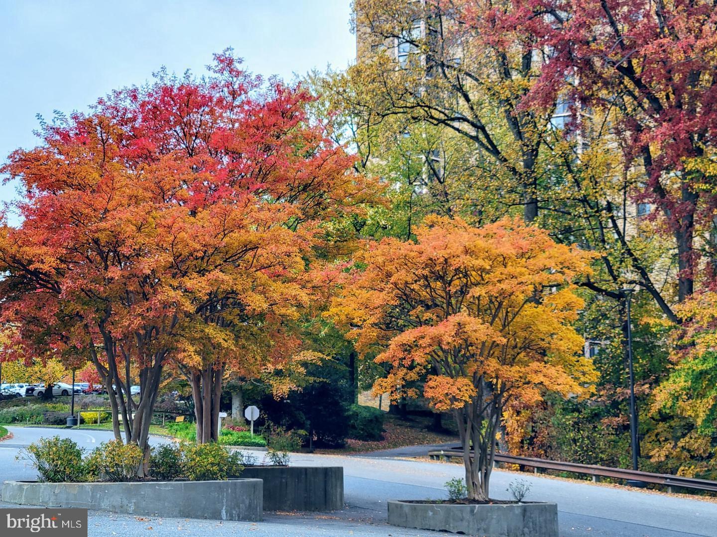 5902 MOUNT EAGLE DR #801, ALEXANDRIA, Virginia 22303, 2 Bedrooms Bedrooms, ,2 BathroomsBathrooms,Residential,For sale,5902 MOUNT EAGLE DR #801,VAFX2277422 MLS # VAFX2277422