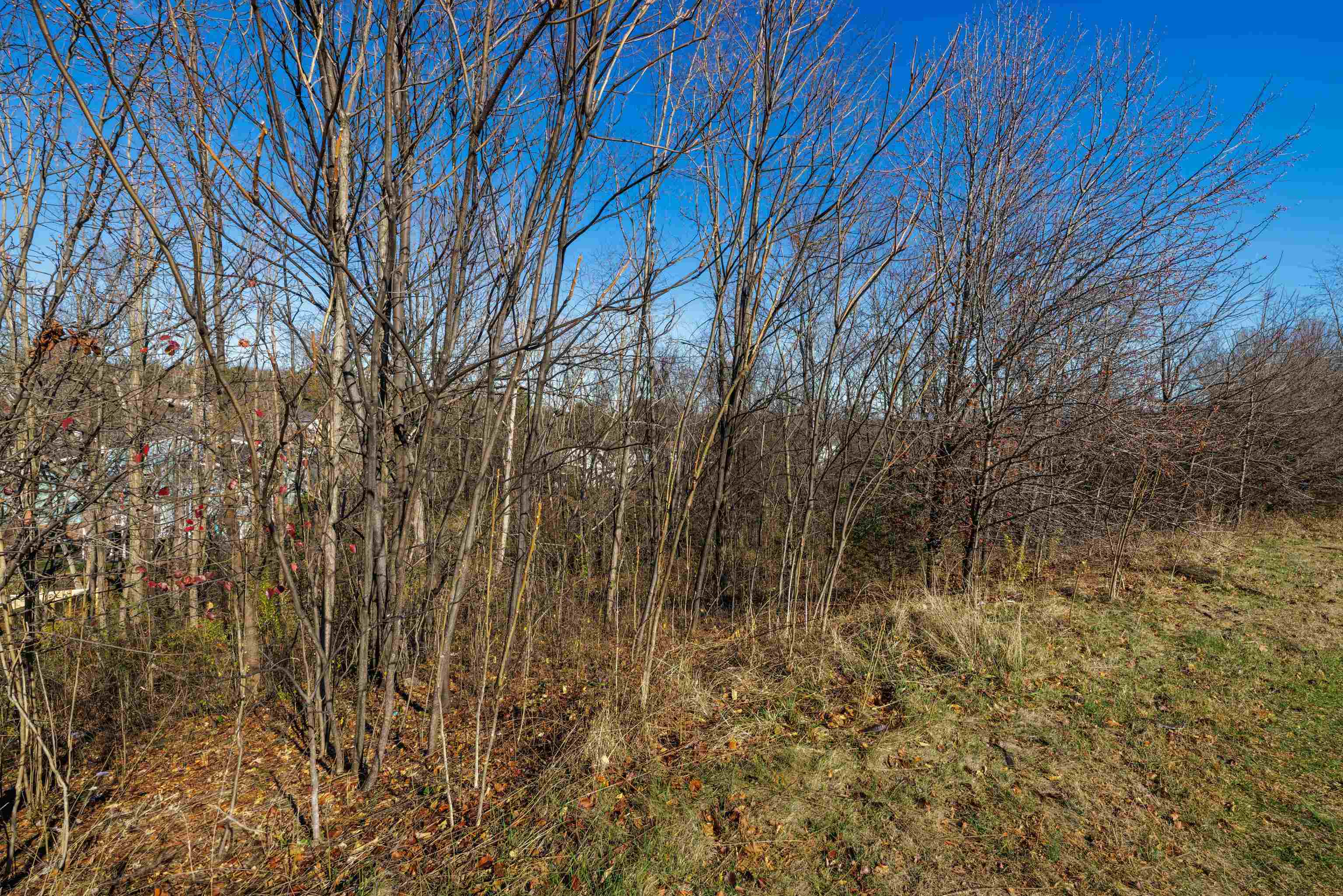 2112 WILLOW HILL DR, HARRISONBURG, Virginia 22801, ,Land,2112 WILLOW HILL DR,671343 MLS # 671343