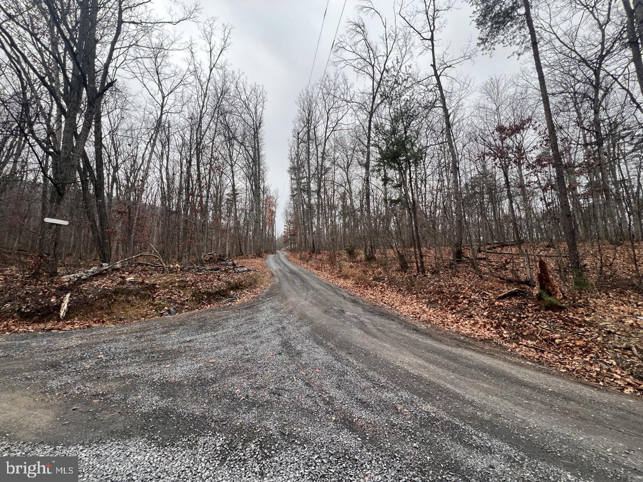 LOT 6 HUMMINGBIRD LANE 0, STAR TANNERY, Virginia 22654, ,Land,For sale,LOT 6 HUMMINGBIRD LANE 0,VASH2013006 MLS # VASH2013006