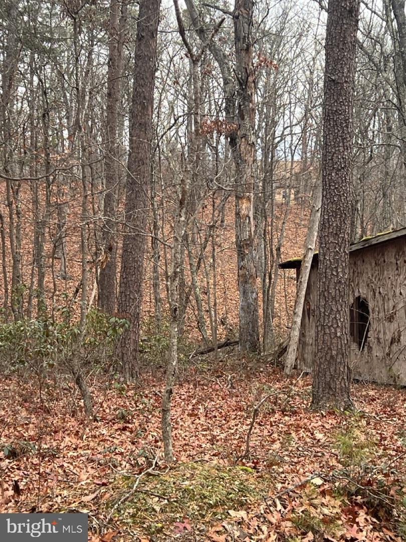 LOT 6 HUMMINGBIRD LANE 0, STAR TANNERY, Virginia 22654, ,Land,For sale,LOT 6 HUMMINGBIRD LANE 0,VASH2013006 MLS # VASH2013006