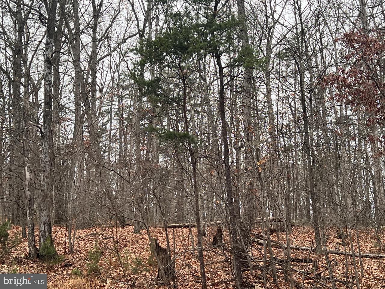 LOT 6 HUMMINGBIRD LANE 0, STAR TANNERY, Virginia 22654, ,Land,For sale,LOT 6 HUMMINGBIRD LANE 0,VASH2013006 MLS # VASH2013006