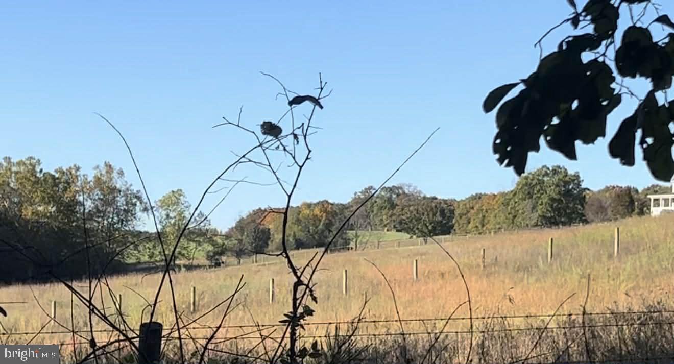 N FREDERICK PIKE, WINCHESTER, Virginia 22603, ,Land,For sale,N FREDERICK PIKE,VAFV2038096 MLS # VAFV2038096 N FREDERICK PIKE, WINCHESTER, Virginia 22603, ,Land,For sale,N FREDERICK PIKE,VAFV2038096 MLS # VAFV2038096