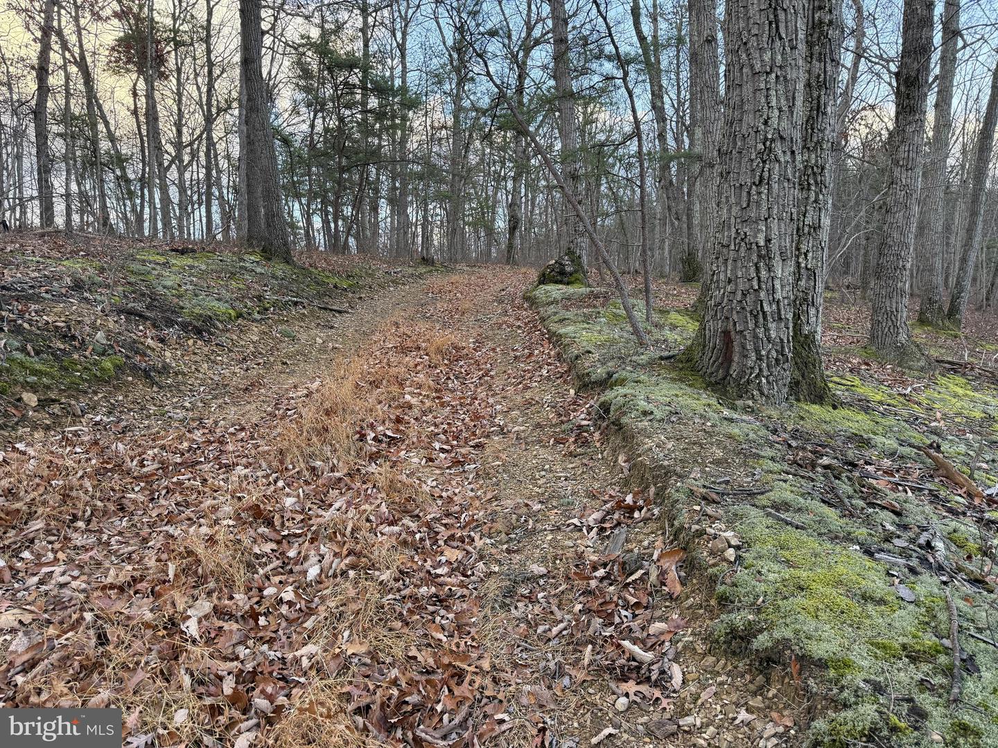 N FREDERICK PIKE, WINCHESTER, Virginia 22603, ,Land,For sale,N FREDERICK PIKE,VAFV2038096 MLS # VAFV2038096 N FREDERICK PIKE, WINCHESTER, Virginia 22603, ,Land,For sale,N FREDERICK PIKE,VAFV2038096 MLS # VAFV2038096