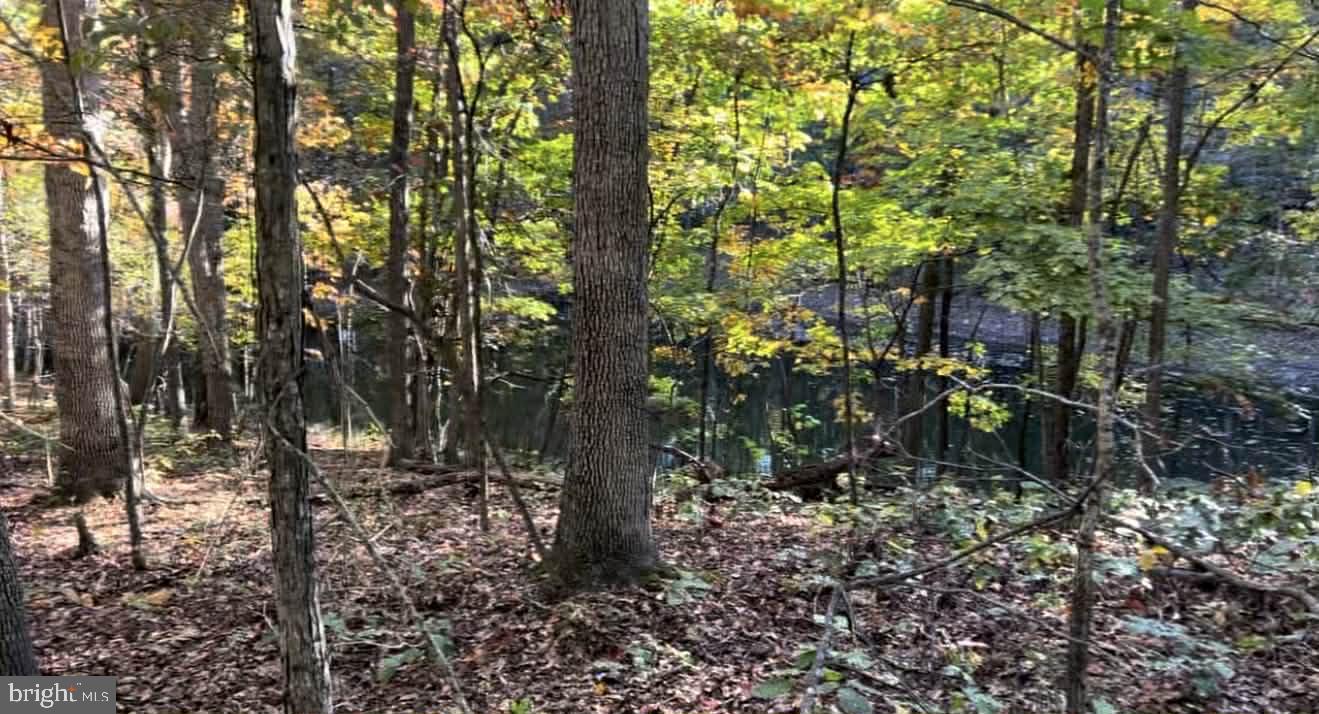 N FREDERICK PIKE, WINCHESTER, Virginia 22603, ,Land,For sale,N FREDERICK PIKE,VAFV2038096 MLS # VAFV2038096 N FREDERICK PIKE, WINCHESTER, Virginia 22603, ,Land,For sale,N FREDERICK PIKE,VAFV2038096 MLS # VAFV2038096