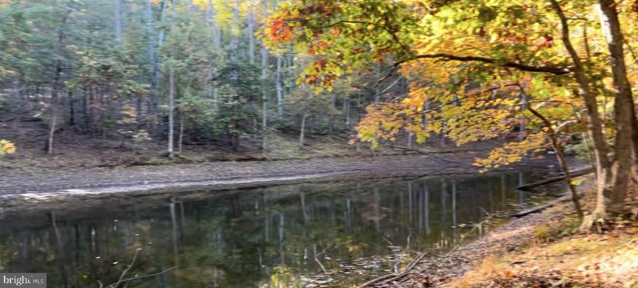 N FREDERICK PIKE, WINCHESTER, Virginia 22603, ,Land,For sale,N FREDERICK PIKE,VAFV2038096 MLS # VAFV2038096