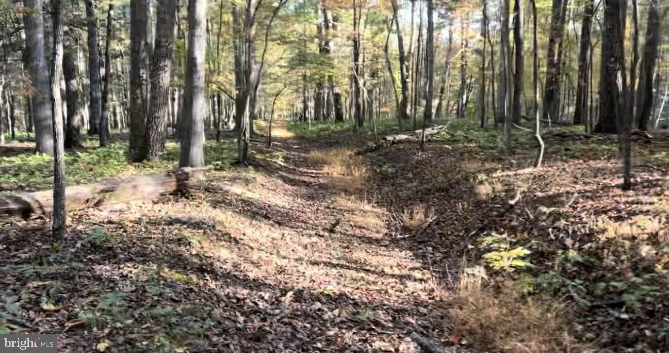 N FREDERICK PIKE, WINCHESTER, Virginia 22603, ,Land,For sale,N FREDERICK PIKE,VAFV2038096 MLS # VAFV2038096