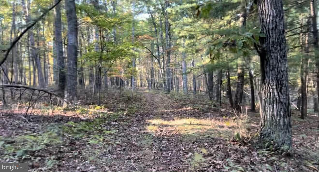 N FREDERICK PIKE, WINCHESTER, Virginia 22603, ,Land,For sale,N FREDERICK PIKE,VAFV2038096 MLS # VAFV2038096