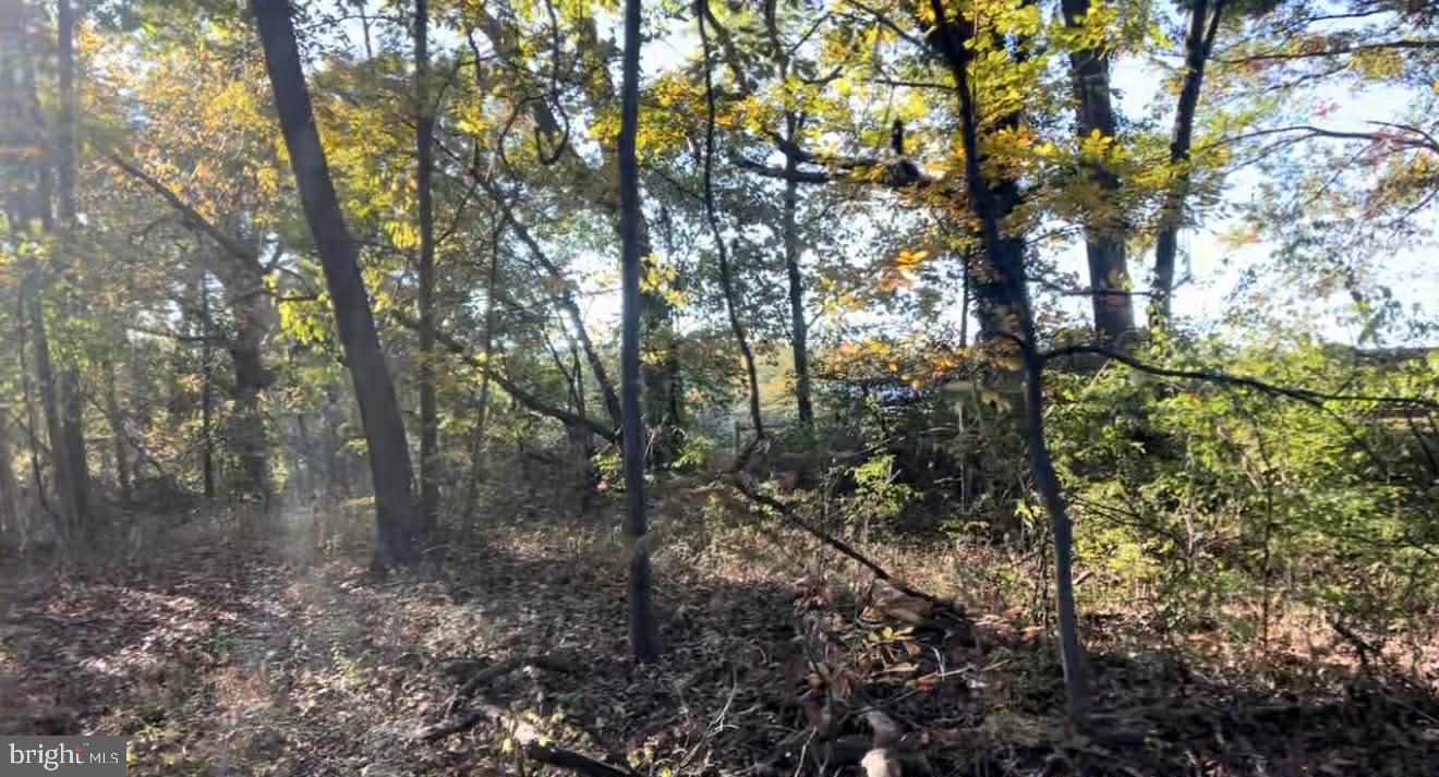 N FREDERICK PIKE, WINCHESTER, Virginia 22603, ,Land,For sale,N FREDERICK PIKE,VAFV2038096 MLS # VAFV2038096