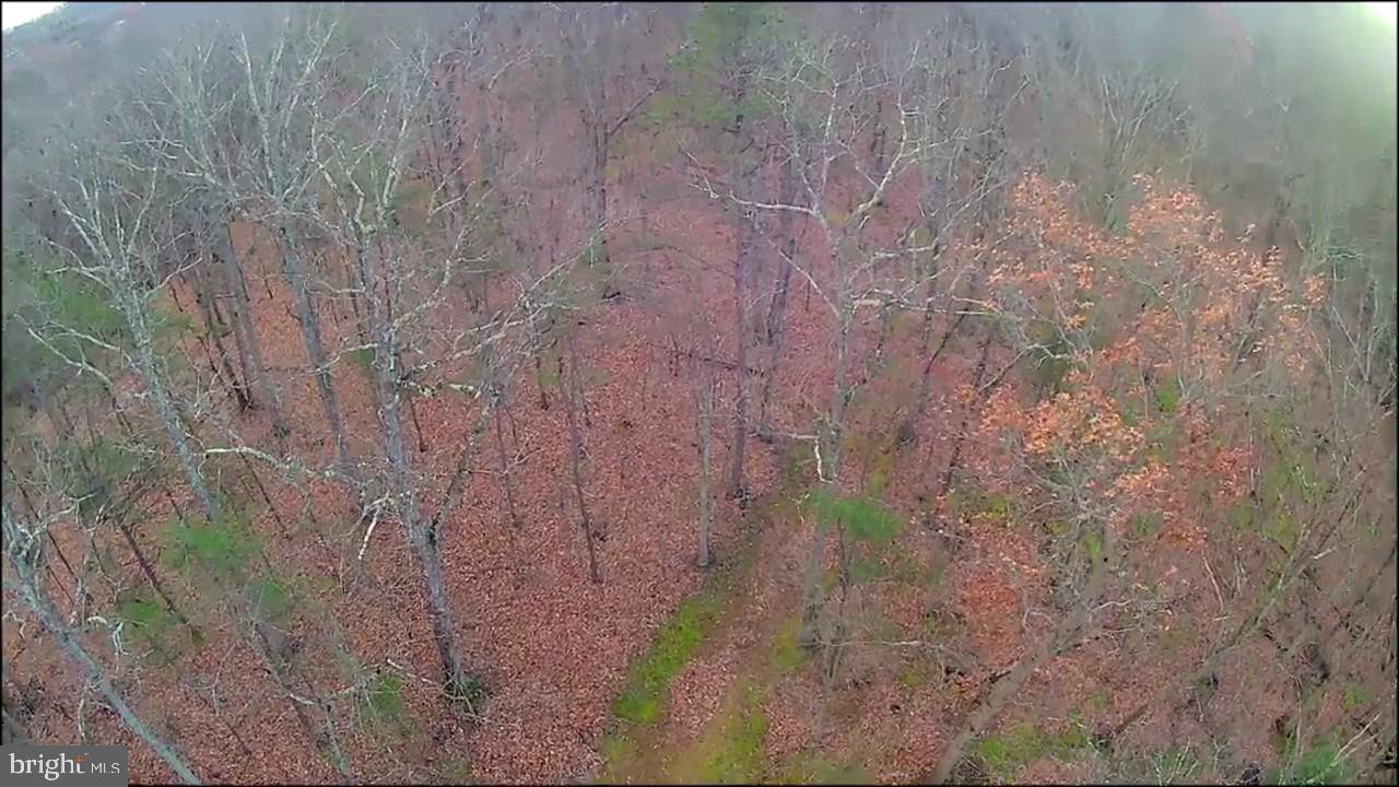 N FREDERICK PIKE, WINCHESTER, Virginia 22603, ,Land,For sale,N FREDERICK PIKE,VAFV2038096 MLS # VAFV2038096 N FREDERICK PIKE, WINCHESTER, Virginia 22603, ,Land,For sale,N FREDERICK PIKE,VAFV2038096 MLS # VAFV2038096