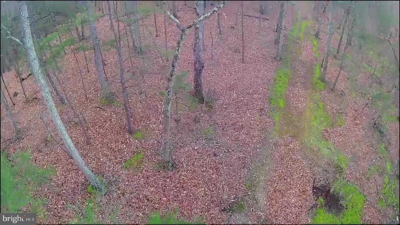 N FREDERICK PIKE, WINCHESTER, Virginia 22603, ,Land,For sale,N FREDERICK PIKE,VAFV2038096 MLS # VAFV2038096 N FREDERICK PIKE, WINCHESTER, Virginia 22603, ,Land,For sale,N FREDERICK PIKE,VAFV2038096 MLS # VAFV2038096