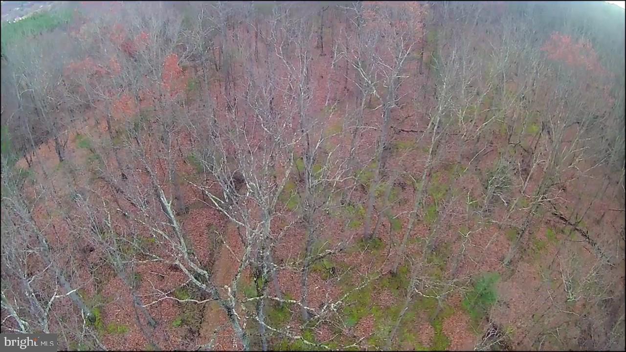 N FREDERICK PIKE, WINCHESTER, Virginia 22603, ,Land,For sale,N FREDERICK PIKE,VAFV2038096 MLS # VAFV2038096 N FREDERICK PIKE, WINCHESTER, Virginia 22603, ,Land,For sale,N FREDERICK PIKE,VAFV2038096 MLS # VAFV2038096