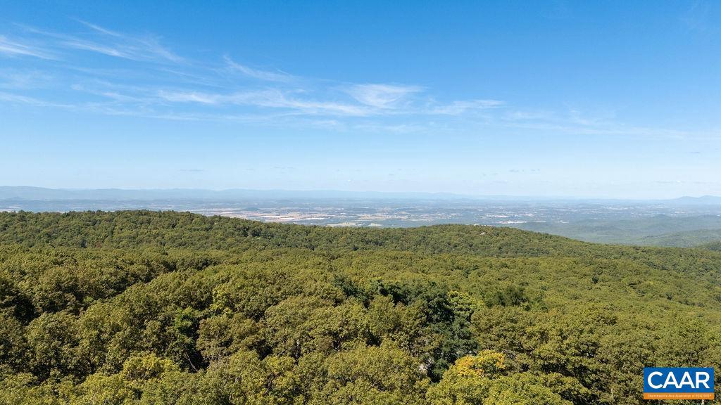 1818 HIGH RIDGE CT CONDOS, ROSELAND, Virginia 22967, 4 Bedrooms Bedrooms, ,4 BathroomsBathrooms,Residential,For sale,1818 HIGH RIDGE CT CONDOS,669022 MLS # 669022