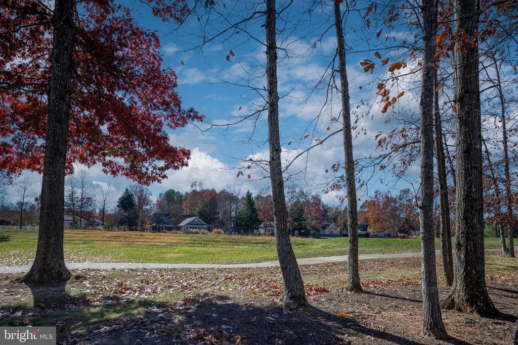 10908 CHATHAM RIDGE WAY, SPOTSYLVANIA, Virginia 22551, 4 Bedrooms Bedrooms, ,3 BathroomsBathrooms,Residential,10908 CHATHAM RIDGE WAY,VASP2037720 MLS # VASP2037720