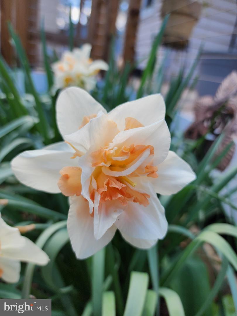 118 7TH ST, COLONIAL BEACH, Virginia 22443, 3 Bedrooms Bedrooms, ,2 BathroomsBathrooms,Residential,For sale,118 7TH ST,VAWE2009822 MLS # VAWE2009822