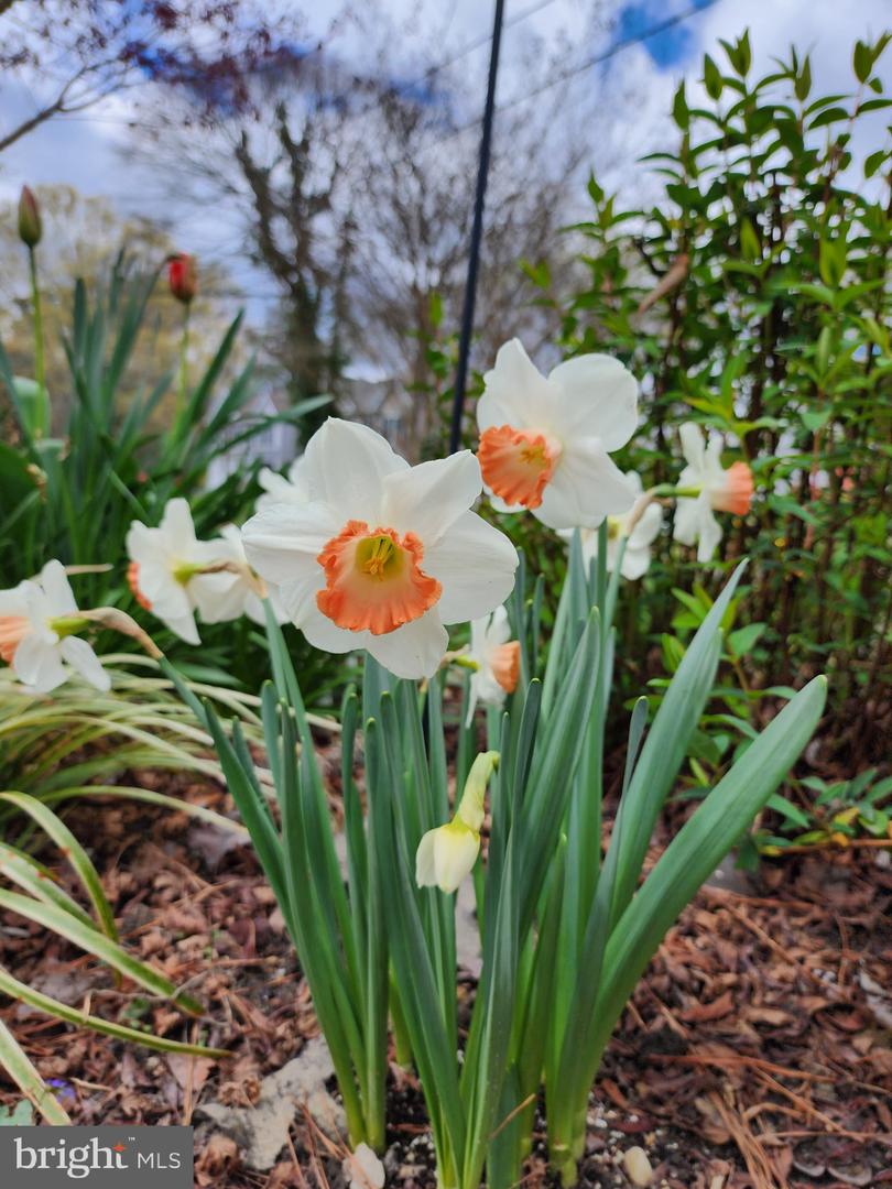 118 7TH ST, COLONIAL BEACH, Virginia 22443, 3 Bedrooms Bedrooms, ,2 BathroomsBathrooms,Residential,For sale,118 7TH ST,VAWE2009822 MLS # VAWE2009822