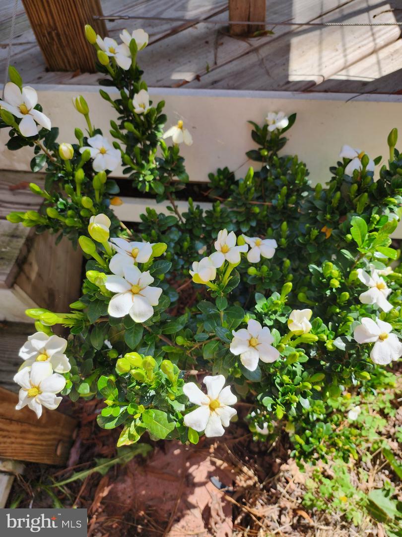 118 7TH ST, COLONIAL BEACH, Virginia 22443, 3 Bedrooms Bedrooms, ,2 BathroomsBathrooms,Residential,For sale,118 7TH ST,VAWE2009822 MLS # VAWE2009822