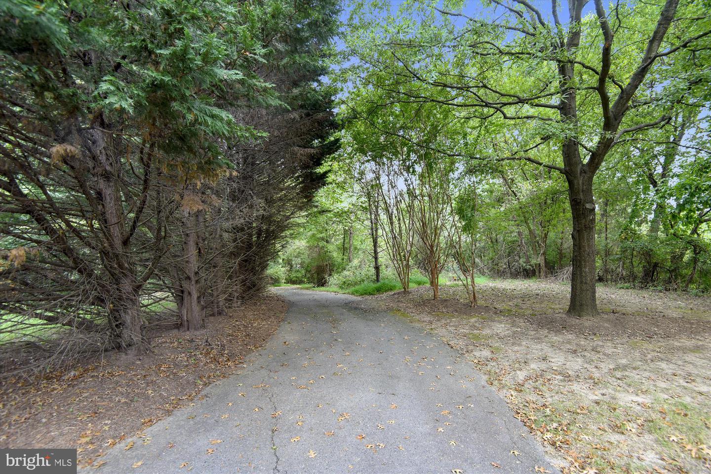 12102 GREENWAY CT #101, FAIRFAX, Virginia 22033, 3 Bedrooms Bedrooms, 8 Rooms Rooms,2 BathroomsBathrooms,Residential,For sale,12102 GREENWAY CT #101,VAFX2272614 MLS # VAFX2272614