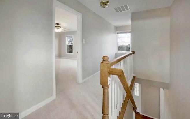 16398 SHADOW DR, CULPEPER, Virginia 22701, 3 Bedrooms Bedrooms, ,2 BathroomsBathrooms,Residential,For sale,16398 SHADOW DR,VACU2011980 MLS # VACU2011980 16398 SHADOW DR, CULPEPER, Virginia 22701, 3 Bedrooms Bedrooms, ,2 BathroomsBathrooms,Residential,For sale,16398 SHADOW DR,VACU2011980 MLS # VACU2011980