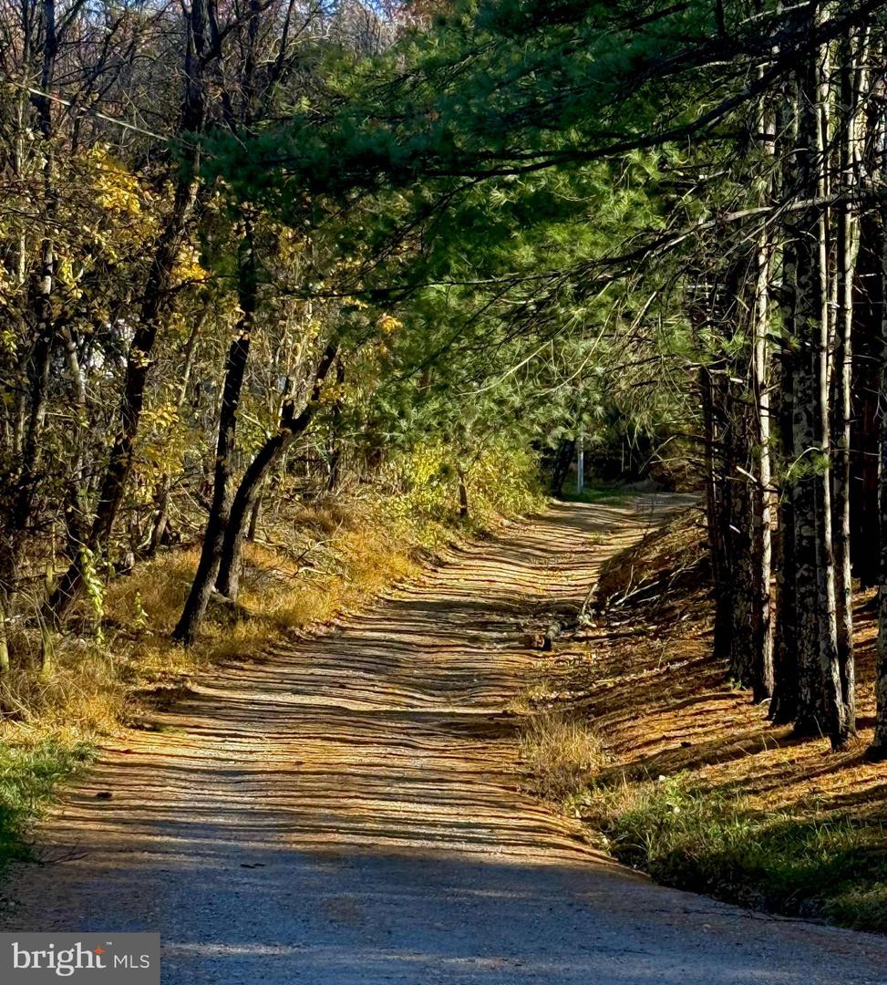 67 REYNOLDS CT, FRONT ROYAL, Virginia 22630, 4 Bedrooms Bedrooms, ,2 BathroomsBathrooms,Residential,For sale,67 REYNOLDS CT,VAWR2012720 MLS # VAWR2012720