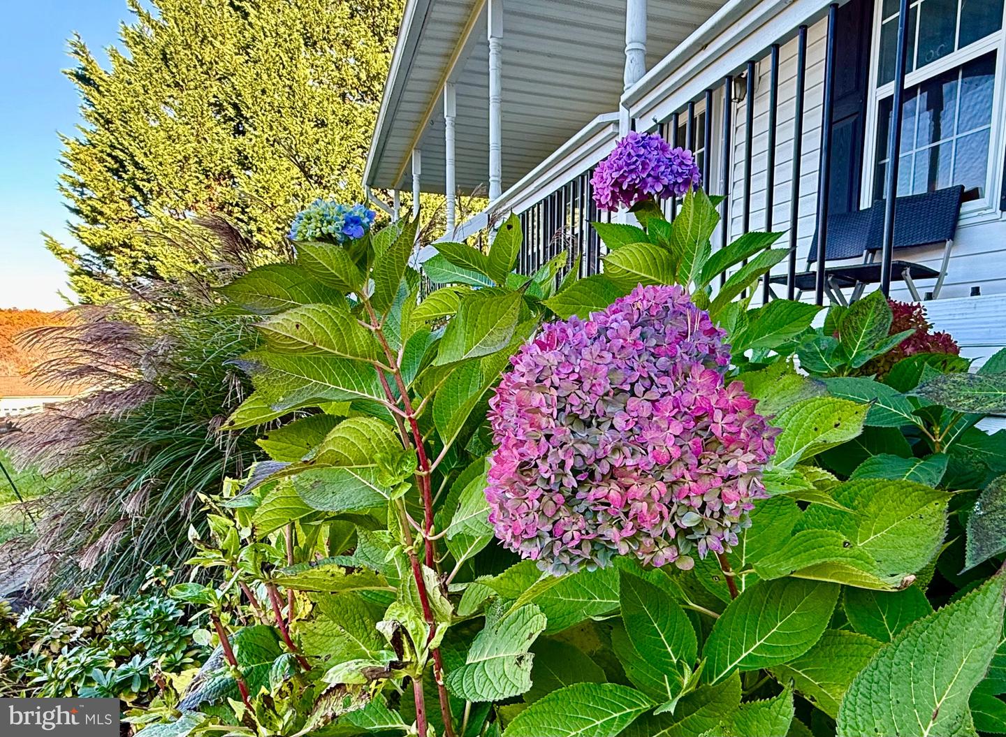 67 REYNOLDS CT, FRONT ROYAL, Virginia 22630, 4 Bedrooms Bedrooms, ,2 BathroomsBathrooms,Residential,For sale,67 REYNOLDS CT,VAWR2012720 MLS # VAWR2012720