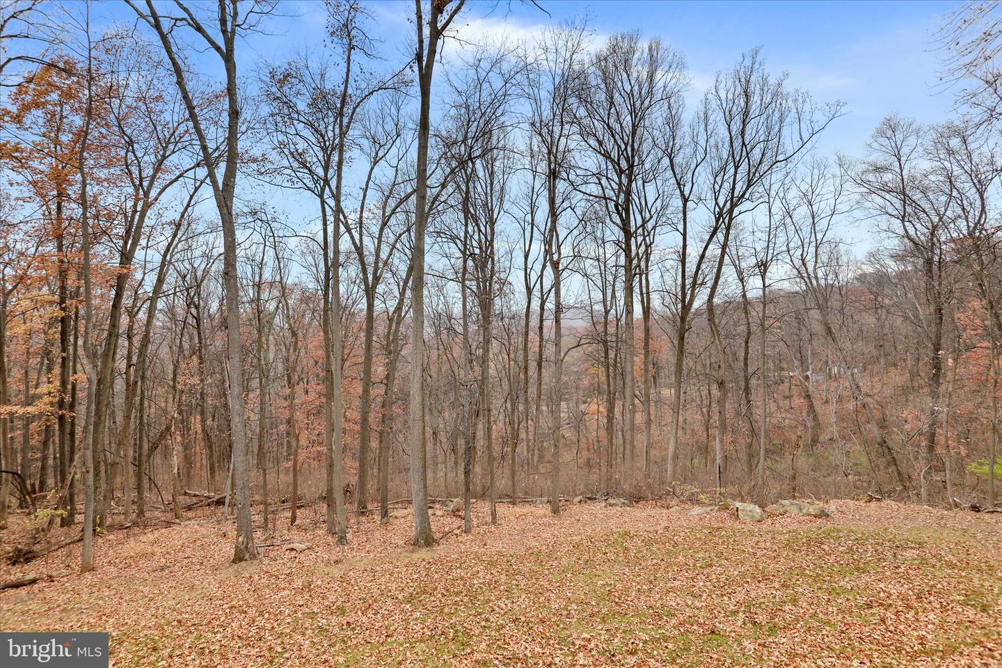 401 BRAGG DR, FRONT ROYAL, Virginia 22630, 3 Bedrooms Bedrooms, 10 Rooms Rooms,3 BathroomsBathrooms,Residential,For sale,401 BRAGG DR,VAWR2012750 MLS # VAWR2012750