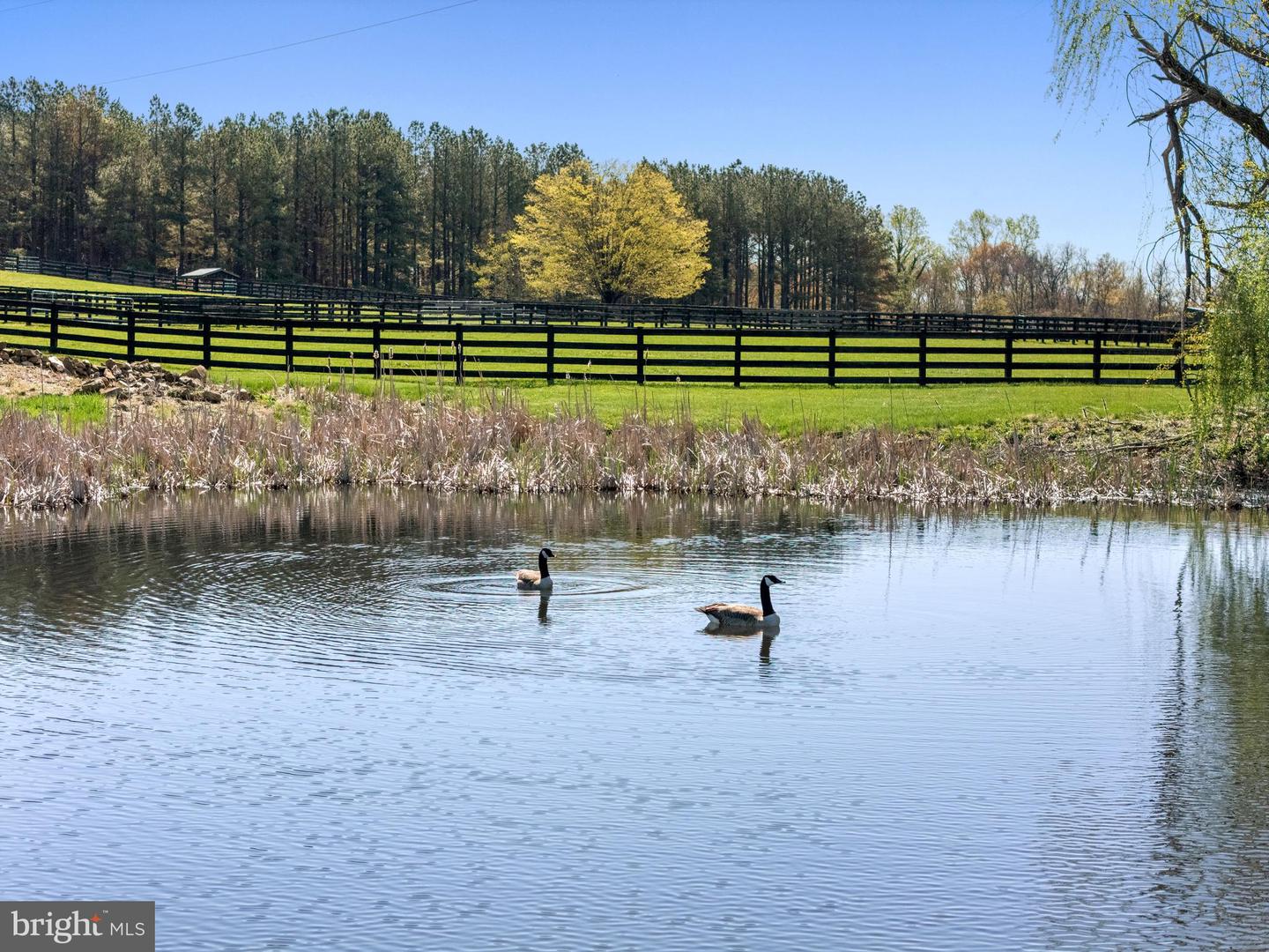 3252 WINCHESTER RD, DELAPLANE, Virginia 20144, 4 Bedrooms Bedrooms, ,5 BathroomsBathrooms,Residential,For sale,3252 WINCHESTER RD,VAFQ2019664 MLS # VAFQ2019664 3252 WINCHESTER RD, DELAPLANE, Virginia 20144, 4 Bedrooms Bedrooms, ,5 BathroomsBathrooms,Residential,For sale,3252 WINCHESTER RD,VAFQ2019664 MLS # VAFQ2019664