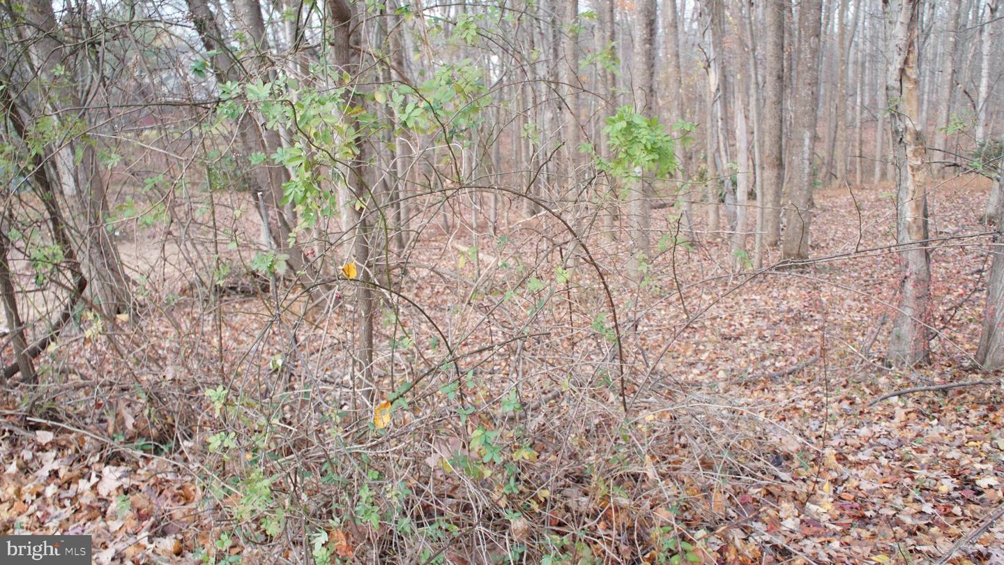 3140 SEARSMONT PL, HERNDON, Virginia 20171, ,Land,For sale,3140 SEARSMONT PL,VAFX2280122 MLS # VAFX2280122 3140 SEARSMONT PL, HERNDON, Virginia 20171, ,Land,For sale,3140 SEARSMONT PL,VAFX2280122 MLS # VAFX2280122