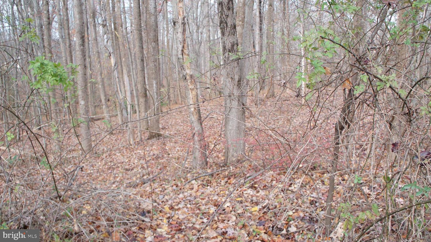 3140 SEARSMONT PL, HERNDON, Virginia 20171, ,Land,For sale,3140 SEARSMONT PL,VAFX2280122 MLS # VAFX2280122 3140 SEARSMONT PL, HERNDON, Virginia 20171, ,Land,For sale,3140 SEARSMONT PL,VAFX2280122 MLS # VAFX2280122