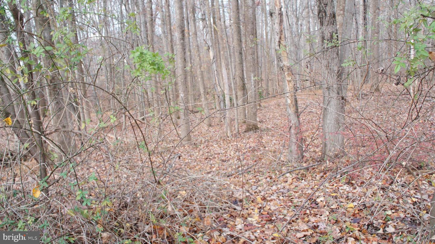 3140 SEARSMONT PL, HERNDON, Virginia 20171, ,Land,For sale,3140 SEARSMONT PL,VAFX2280122 MLS # VAFX2280122 3140 SEARSMONT PL, HERNDON, Virginia 20171, ,Land,For sale,3140 SEARSMONT PL,VAFX2280122 MLS # VAFX2280122