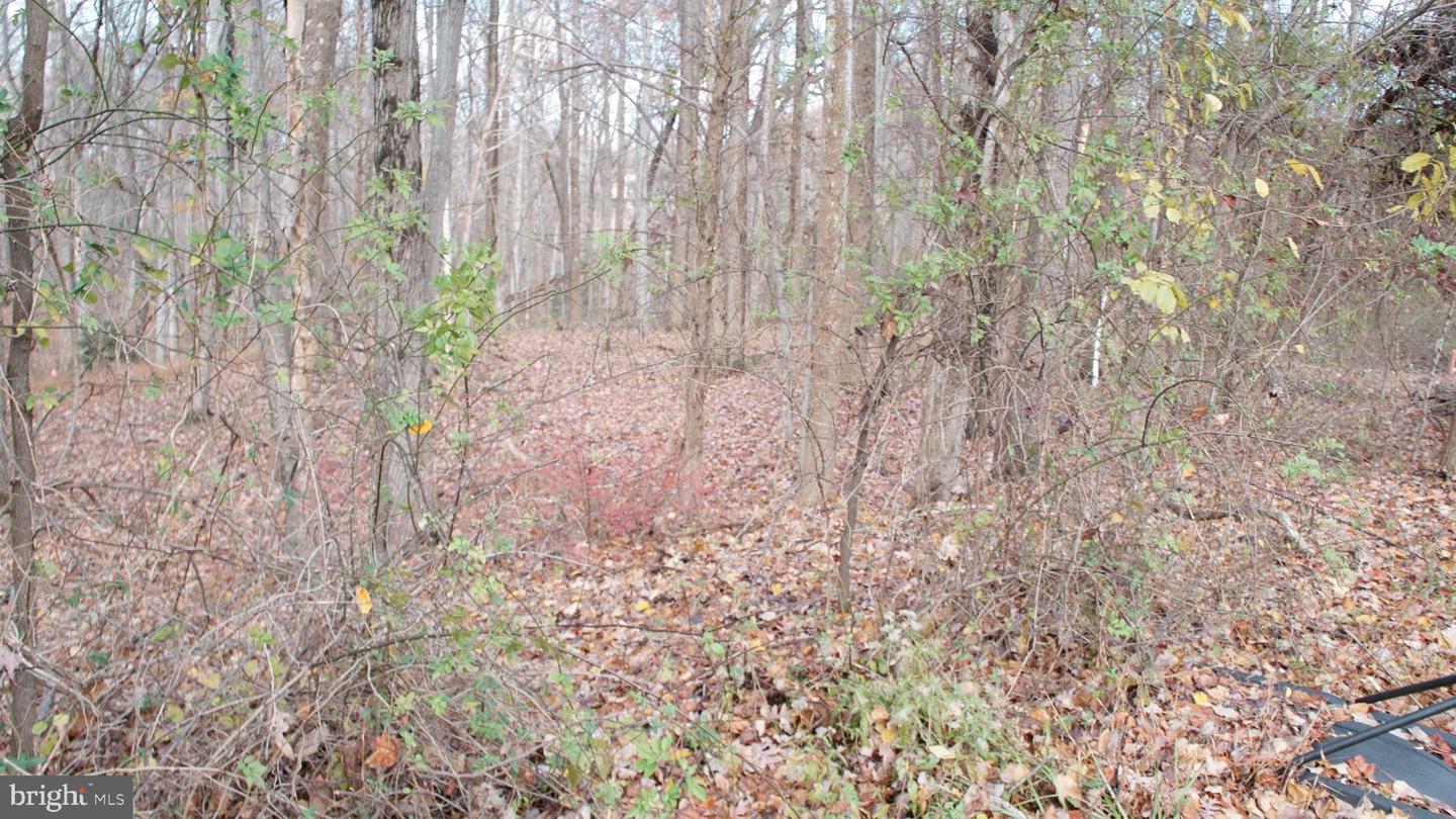 3140 SEARSMONT PL, HERNDON, Virginia 20171, ,Land,For sale,3140 SEARSMONT PL,VAFX2280122 MLS # VAFX2280122 3140 SEARSMONT PL, HERNDON, Virginia 20171, ,Land,For sale,3140 SEARSMONT PL,VAFX2280122 MLS # VAFX2280122