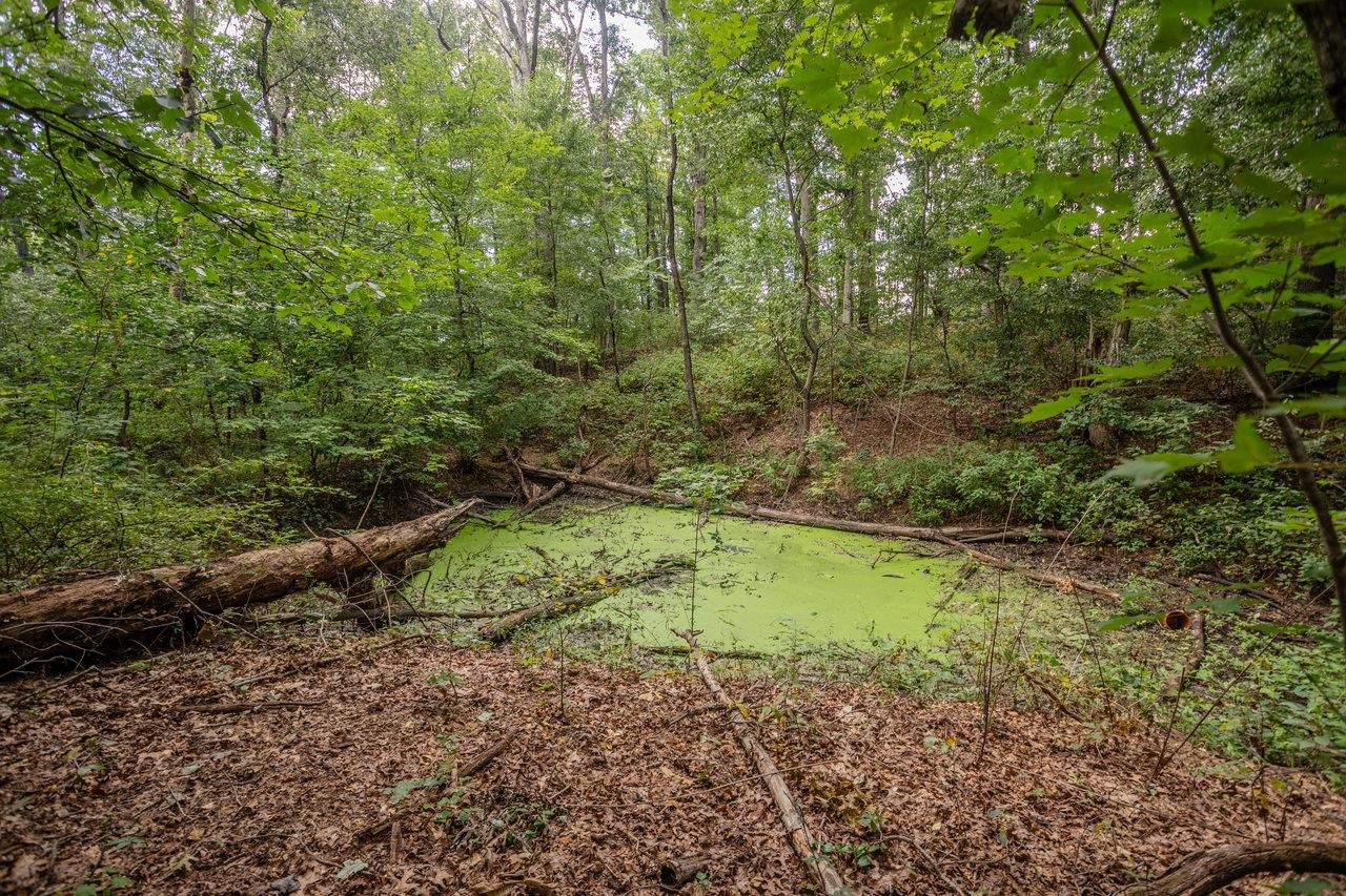 1557 RINACAS CORNER RD, SHENANDOAH, Virginia 22849, 2 Bedrooms Bedrooms, ,1 BathroomBathrooms,Residential,1557 RINACAS CORNER RD,668057 MLS # 668057 1557 RINACAS CORNER RD, SHENANDOAH, Virginia 22849, 2 Bedrooms Bedrooms, ,1 BathroomBathrooms,Residential,1557 RINACAS CORNER RD,668057 MLS # 668057