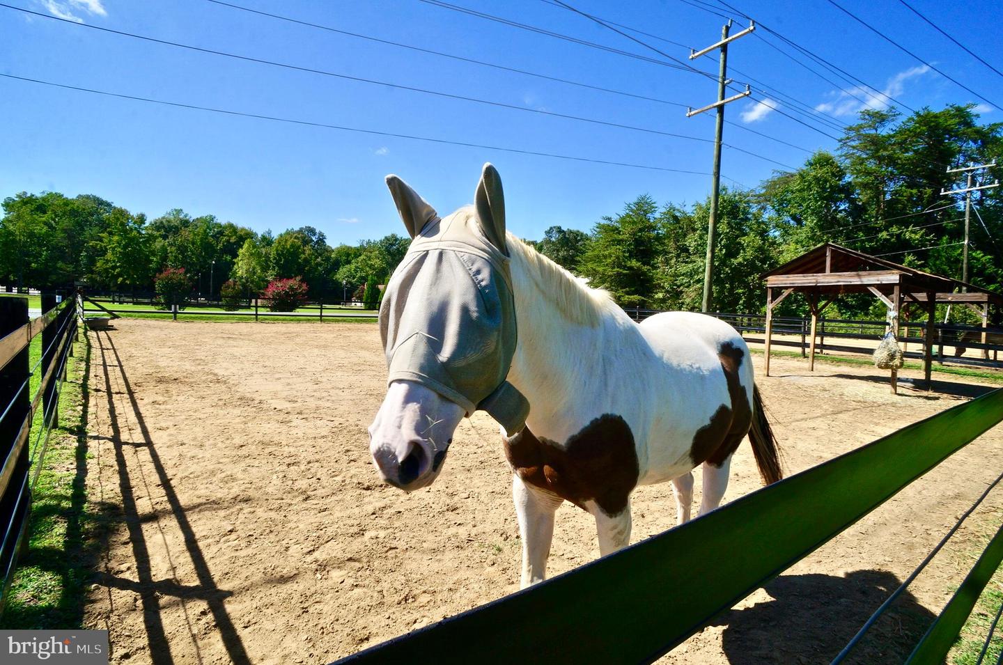 2008 COAST GUARD DR, STAFFORD, Virginia 22554, 3 Bedrooms Bedrooms, 15 Rooms Rooms,3 BathroomsBathrooms,Residential,For sale,2008 COAST GUARD DR,VAST2044300 MLS # VAST2044300