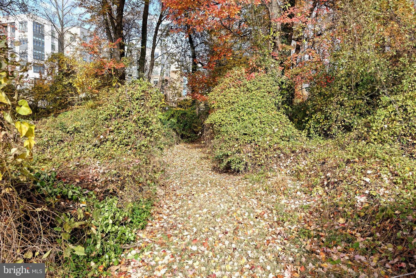 7680 TREMAYNE PL #308, MCLEAN, Virginia 22102, 3 Bedrooms Bedrooms, ,2 BathroomsBathrooms,Residential,For sale,7680 TREMAYNE PL #308,VAFX2279698 MLS # VAFX2279698